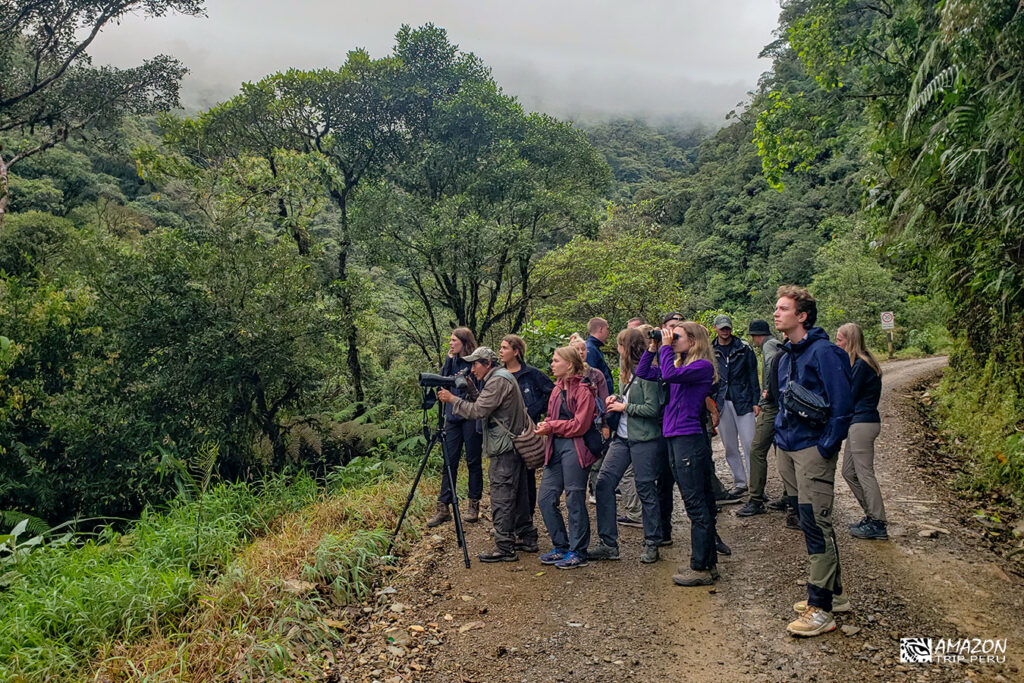Grupo de viajeros observando aves con el telescopio del guía en la carretera del bosque nuboso del Manu