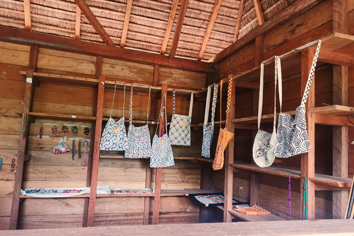 craft manu national park