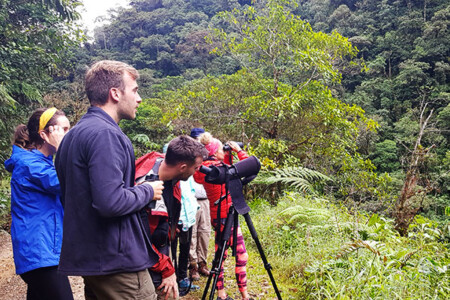 bird watching peru tours