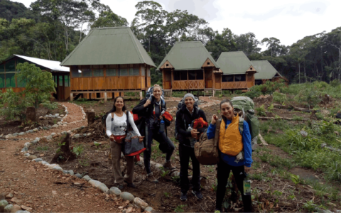 Ecolodges Amazon lodge manu park tours