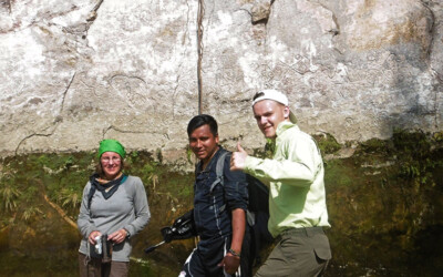 Petroglyphs of pusharo rainforest from cusco