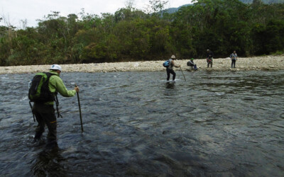 River into rainforest from cusco