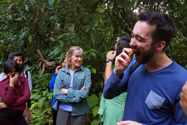 suri Machu wasi rainforest from cusco
