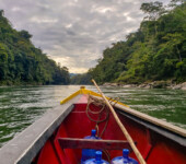Manu national park river - Road boat